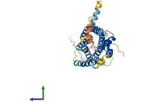 AlphaFold protein structure predicition of Human Recombinant CCR6 Protein, UniprotID P51684 (CCR6 Protein (AA 1-374) (His tag))