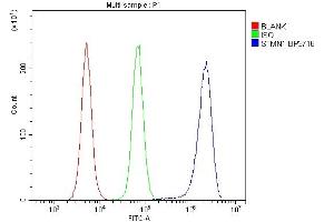 Flow Cytometry analysis of RAW264. (Stathmin 1 antibody  (N-Term))