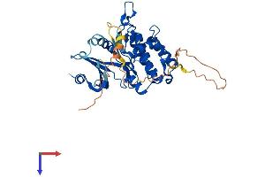 Testis-Specific serine Kinase 2 (TSSK2) (AA 1-358) protein (His tag)