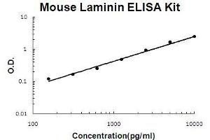 Mouse Laminin PicoKine ELISA Kit standard curve (Laminin ELISA Kit)