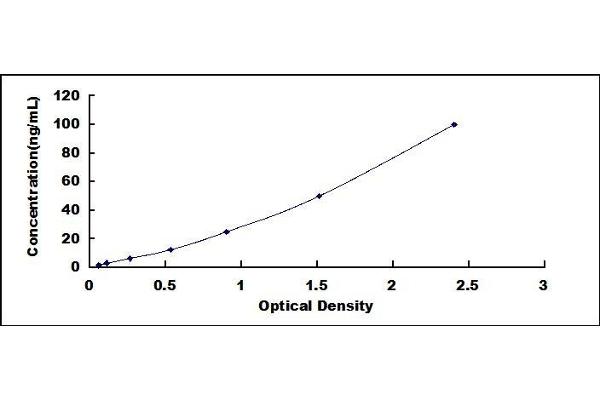 SCD ELISA Kit