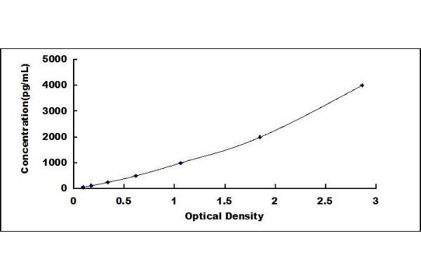 Hepcidin ELISA Kit