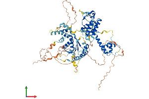 Protein Structure (PS) image for RAD17 (RAD17) (AA 1-681) protein (His tag) (ABIN7555145)
