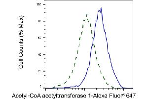 Validation of Acetyl-CoA acetyltransferase 1 knockdown using flow cytometry. (Recombinant ACAT1 antibody)