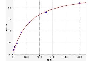 Resistin (RETN) ELISA Kit