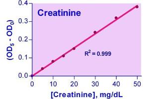 Biochemical Assay (BCA) image for Creatinine Assay Kit (ABIN1000259) (Creatinine Assay Kit)