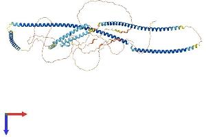 AlphaFold protein structure predicition of Human Recombinant CEP85 Protein, UniprotID Q6P2H3 (CEP85 Protein (AA 1-762) (His tag))