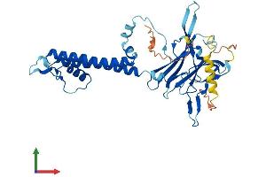 AlphaFold protein structure predicition of Mouse Recombinant Kcnj10 Protein, UniprotID Q9JM63