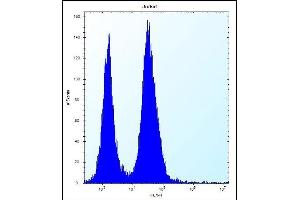 SSR2 Antibody (C-term) (ABIN657094 and ABIN2846252) flow cytometric analysis of Jurkat cells (right histogram) compared to a negative control cell (left histogram). (SSR2 antibody  (C-Term))