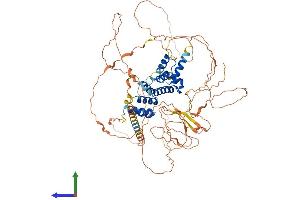 AlphaFold protein structure predicition of Mouse Recombinant Six5 Protein, UniprotID P70178 (Six5 Protein (AA 1-719) (His tag))