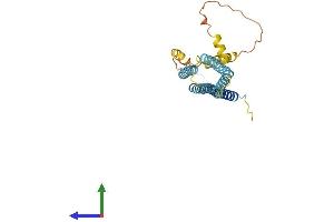 Protein Structure (PS) image for Hydrogen Voltage-Gated Channel 1 (HVCN1) (AA 1-269) protein (His tag) (ABIN7557139)