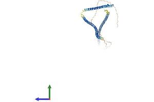 AlphaFold protein structure predicition of Human Recombinant MIPOL1 Protein, UniprotID Q8TD10
