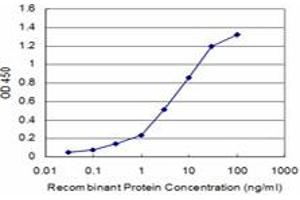 Detection limit for recombinant GST tagged DBP is approximately 0. (DBP antibody  (AA 226-325))