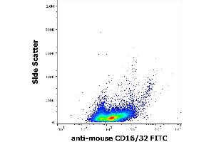 Flow cytometry surface staining pattern of murine splenocyte suspension stained using anti-mouse CD16/32 (93) FITC antibody (concentration in sample 15 μg/mL). (CD32/CD16 antibody  (FITC))