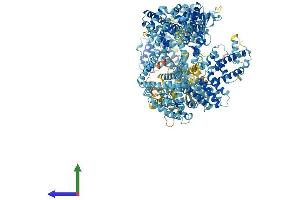AlphaFold protein structure predicition of Human Recombinant IQGAP3 Protein, UniprotID Q86VI3 (IQGAP3 Protein (AA 1-1631) (His tag))