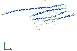 Protein Structure (PS) image for Coiled-Coil Domain Containing 99 (CCDC99) (AA 1-605) protein (His tag) (ABIN7555533)