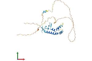 Protein Structure (PS) image for Sprouty Homolog 1, Antagonist of FGF Signaling (SPRY1) (AA 1-313) protein (His tag) (ABIN7561764)