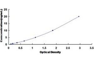 PCYOX1 ELISA Kit