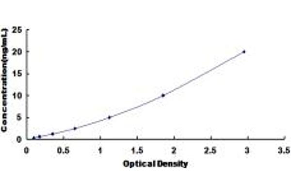 PCYOX1 ELISA Kit