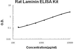 Rat Laminin Accusignal ELISA Kit Rat Laminin AccuSignal ELISA Kit standard curve. (Laminin ELISA Kit)