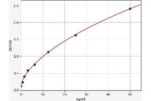 Typical standard curve (Ly6C ELISA Kit)