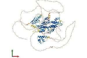AlphaFold protein structure predicition of Human Recombinant BICC1 Protein, UniprotID Q9H694