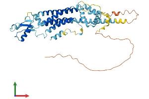 Protein Structure (PS) image for Pannexin 1 (PANX1) (AA 1-426) protein (His tag) (ABIN7550615)