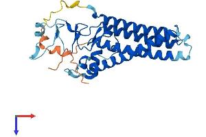 AlphaFold protein structure predicition of Human Recombinant ZDHHC3 Protein, UniprotID Q9NYG2 (ZDHHC3 Protein (AA 1-299) (His tag))