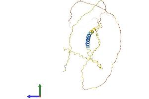 AlphaFold protein structure predicition of Mouse Recombinant Mgarp Protein, UniprotID Q8VI64