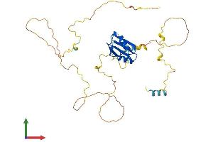 Protein Structure (PS) image for Nucleoporin 35kDa (NUP35) (AA 1-326) protein (His tag) (ABIN7550000)