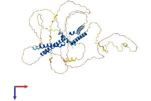 Family with Sequence Similarity 13, Member C (FAM13C) (AA 1-585) protein (His tag)