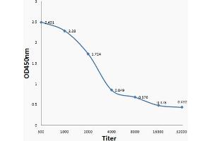 Antigen: Clostridium perfringens type D, 2ug/100ul, Primary: Antiserum, 1:500, 1:1000, 1:2000, 1:4000, 1:8000, 1:16000, 1:32000, Secondary: HRP conjugated Goat Anti-Rabbit IgG  at 1: 5000, TMB staining Read the data in MicroplateReader by 450nm, (Clostridium Perfringens Type D antibody)