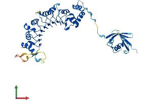 Protein Structure (PS) image for Tubulin Folding Cofactor E-Like (TBCEL) (AA 1-424) protein (His tag) (ABIN7544294)