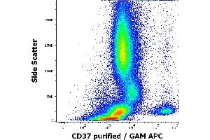 Flow cytometry surface staining pattern of human peripheral whole blood stained using anti-human CD37 (MB-1) purified antibody (concentration in sample 0,2 μg/mL, GAM APC). (CD37 antibody)
