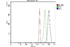 Flow Cytometry analysis of HL-60 cells using anti-NCL antibody (ABIN7600662). (Nucleolin antibody  (AA 219-629))