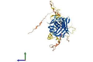 Protein Structure (PS) image for TEA Domain Family Member 2 (TEAD2) (AA 1-447) protein (His tag) (ABIN7555755)