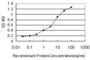 Detection limit for recombinant GST tagged NR4A3 is approximately 0. (NR4A3 antibody  (AA 414-521))