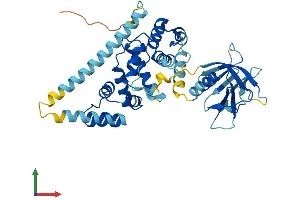 AlphaFold protein structure predicition of Human Recombinant CYTH3 Protein, UniprotID O43739 (Cytohesin 3 Protein (CYTH3) (AA 1-400) (His tag))
