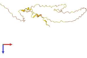 Killin, p53-Regulated DNA Replication Inhibitor (KLLN) (AA 1-178) protein (His tag)