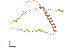 AlphaFold protein structure predicition of Human Recombinant MYCNOS Protein, UniprotID P40205 (MYCNOS Protein (AA 1-109) (His tag))