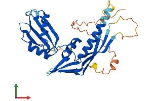 Protein Structure (PS) image for RAD52 Motif 1 (RDM1) (AA 1-281) protein (His tag) (ABIN7560552)