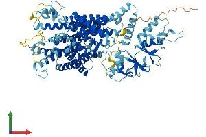 AlphaFold protein structure predicition of Human Recombinant CLCN4 Protein, UniprotID P51793