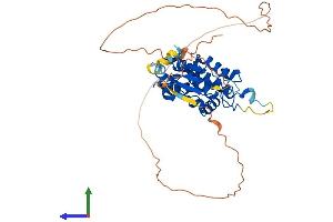 AlphaFold protein structure predicition of Human Recombinant CLIC5 Protein, UniprotID Q9NZA1 (CLIC5 Protein (AA 1-410) (His tag))