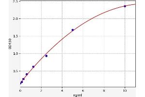 PDIA6 ELISA Kit