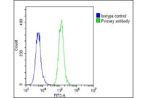 Overlay histogram showing A549 cells stained with (ABIN1881694 and ABIN2838842)(green line). (Kallikrein 10 antibody  (C-Term))