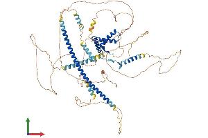 Protein Structure (PS) image for SRY (Sex Determining Region Y)-Box 5 (SOX5) (AA 1-763) protein (His tag) (ABIN7563185)