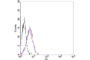 Flow cytometric analysis of non-transfected CHO cells (a) and Avi fusion protein transfeced CHO cells (b) using Avi Antibody (ABIN1574261). (Avi-Tag antibody)