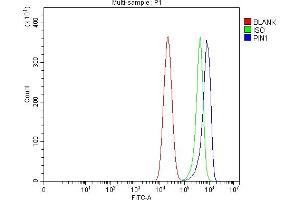 Flow Cytometry analysis of CACO-2 cells using anti-PIN1 antibody (ABIN3042501).