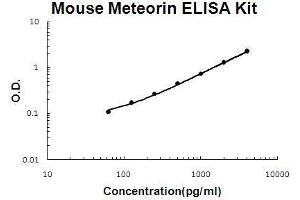 Mouse Meteorin/METRN PicoKine ELISA Kit standard curve (METRN ELISA Kit)