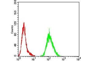 Flow cytometric analysis of Hela cells using TIA1 mouse mAb (green) and negative control (red). (TIA1 antibody  (AA 1-215))